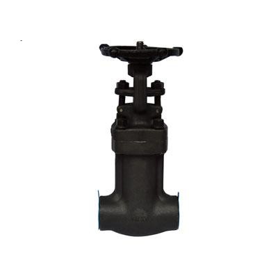 ASTM A105N Bellow Seal Gate Valve, DIN 3352, 3/4 IN, 800 LB