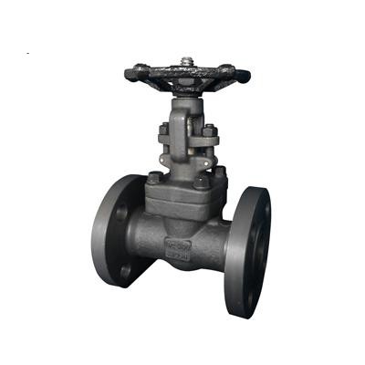 ASTM A182 F316 Gate Valve, 1-1/2 Inch, 300 LB, NO.12 Trim