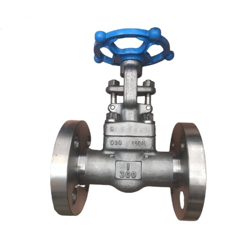 ASTM A182 F904L Gate Valve, API 602, 3/4 Inch, 300 LB, RF