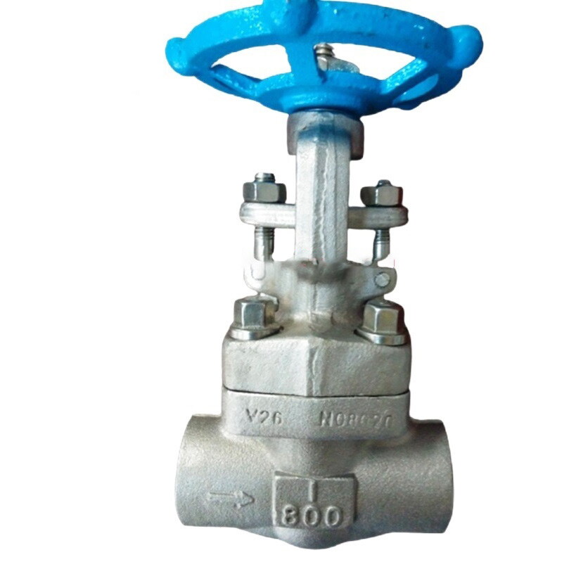 ASTM B462 UNS N08020 Gate Valve, API 602, 1 Inch, 800 LB, SW