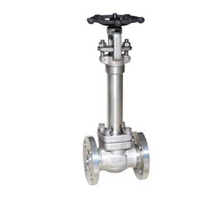 BS 6364 Cryogenic Gate Valve, 1/2-2 Inch, Class 150-800 LB