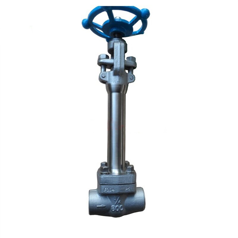 Extension Stem Gate Valve, ASTM A182 F304, 3/4 Inch, 800 LB