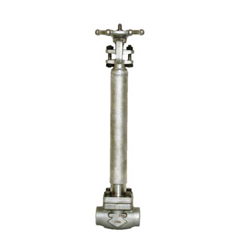 F304 Forged Cryogenic Gate Valve ASME B16.34 1 1/2IN CL800 SW End