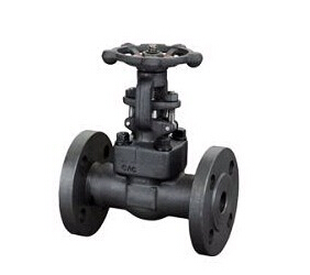 F321 Forged Gate Valve, API 602, 1 Inch, 150 LB-2500 LB, Threaded