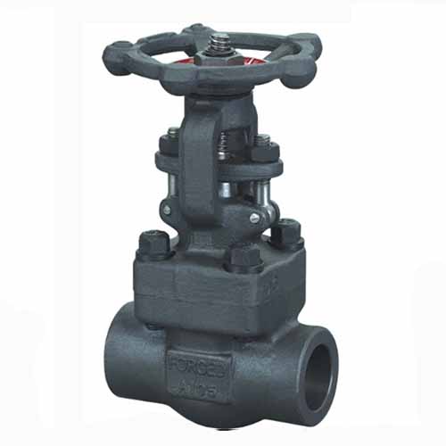 Duplex Stainless Steel Forged Gate Valve, BS 5352, 1/2-2IN, CL800 ...