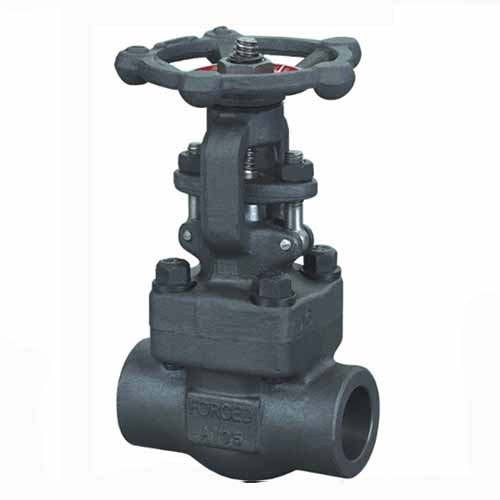 F5 Forged Alloy Steel Gate Valve, API 602, 1/2IN-2IN, CL150-CL1500