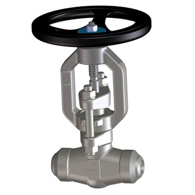 Forged Steel Gate Valve, Bonnetless, 3/8 - 2 Inch