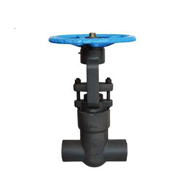 High Pressure Seal Gate Valve, DIN 3352, 1 Inch, 2500 LB