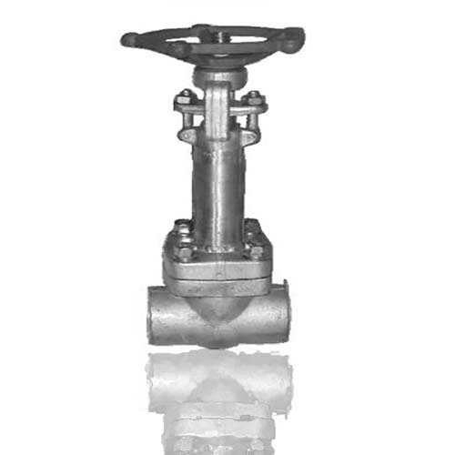 LF2 Forged Cryogenic Gate Valve API 602 3/8IN-2IN CL800 Threaded