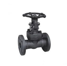 OS & Y Gate Valve, API 602, 1/4-2 Inch, 900-1500 LB, BW End
