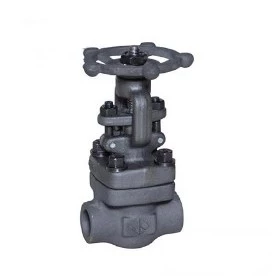 BS 5352 Gate Valve, Bolted Bonnet, 1/4-2 Inch, 150-800 LB