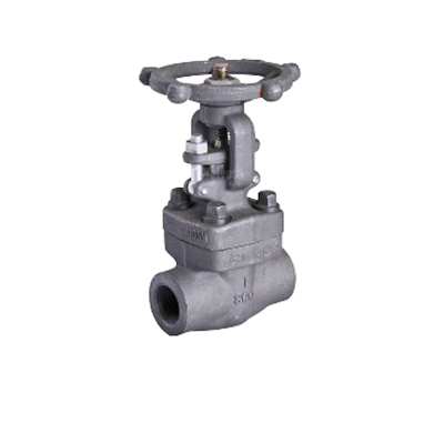 A105N High Temperature Forged Globe Valve, 2IN, CL800, NPT Threaded