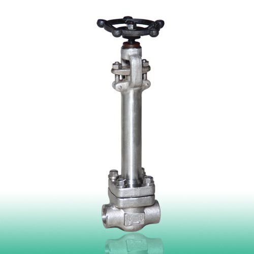 API 602 Forged Cryogenic Globe Valve, 3/8-4 Inch, 150-2500 LB