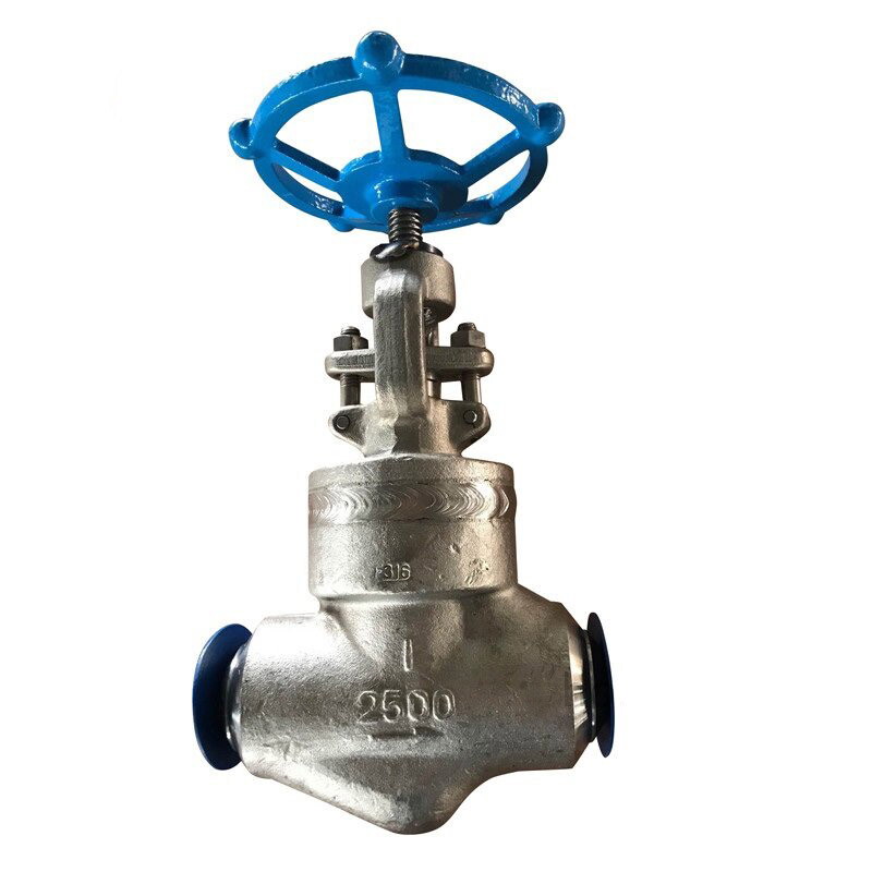API 602 Weld Bonnet Globe Valve, A182 F316, 1 Inch, 2500 LB