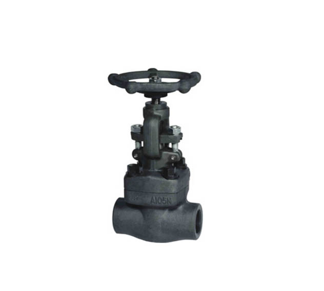 ASTM A105 Forged Globe Valve, ASME B16.34, Class 1500, 2 Inch