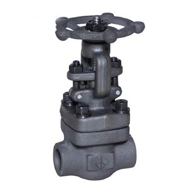 ASTM A105 Globe Valve, ASME B16.34, 1/4-2 Inch, 150-800 LB