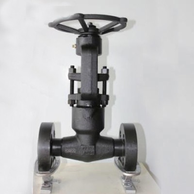 ASTM A105N Globe Valve, Bolted Bonnet, 1/2-2 Inch, 2500 LB