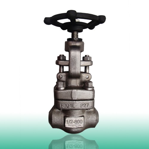 ASTM A182 F304L Globe Valve, 3/8-4 Inch, 150-2500 LB, BW End