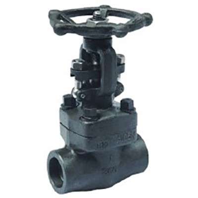 Bolted Bonnet Globe Valve, ASTM A105N, 1/4-2 Inch, 900-1500 LB
