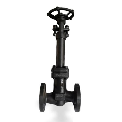 BS 5352 Forged Steel ASTM A182 F316 Globe Valve, DN25, PN40