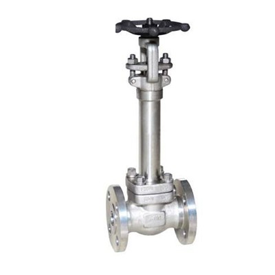 BS 6364 Cryogenic Globe Valve, 1/2-2 Inch, Class 150-800 LB
