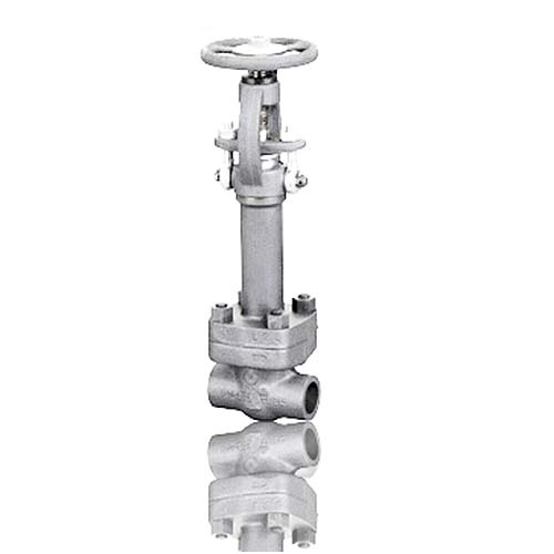 F304 Forged Cryogenic Globe Valve ASME B16.34 1/2IN CL900 Screwed