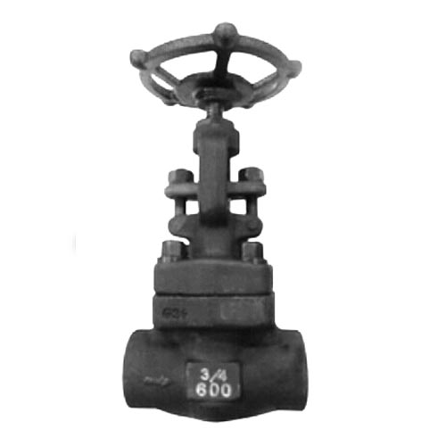 F51 Forged Globe Valve, DIN 3352, 1-1/2IN, CL150-CL2500, BW End