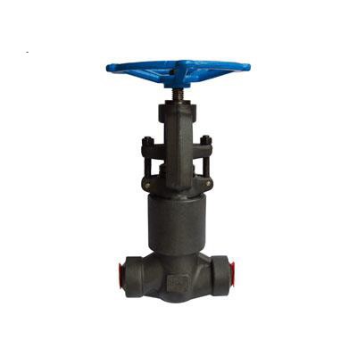 High Pressure Seal Globe Valve, DIN 3356, 1 Inch, 2500 LB