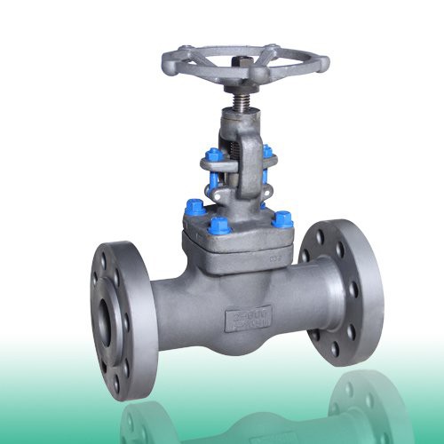 ISO 15761 Flanged Forged Globe Valve, 1/2-4 Inch, 150-2500 LB