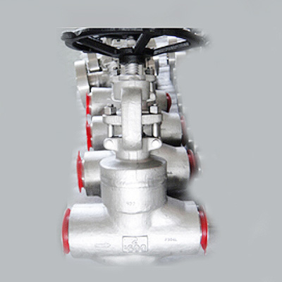 LF2 Carbon Steel Forged Globe Valve, API 602, 2 Inch, 2500 LB