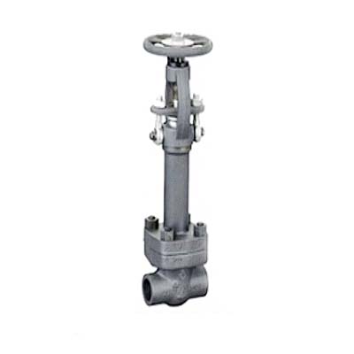 LF2 Forged Cryogenic Globe Valve, API 602, 3/8IN, CL800, SW
