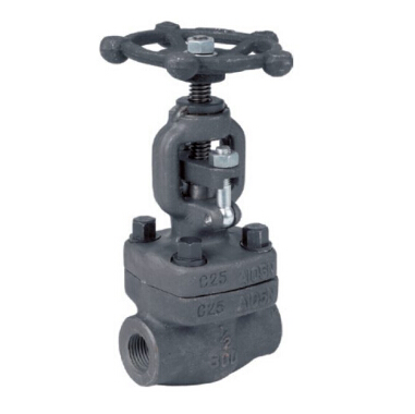 Socket Weld Globe Valve, Forged Steel, API 598, 800 LB, 1/2 Inch