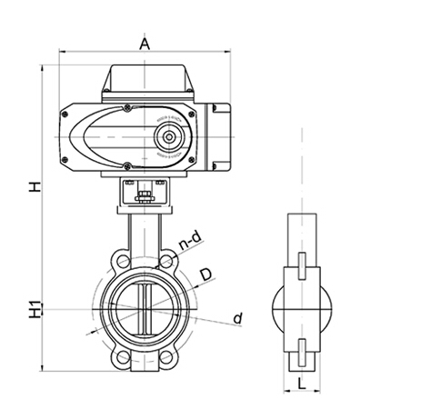 structure-of--the-wafer-butterfly-check-valve