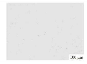 图片包含 图表描述已自动生成