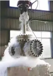 Quality Inspection of the Cryogenic Valve