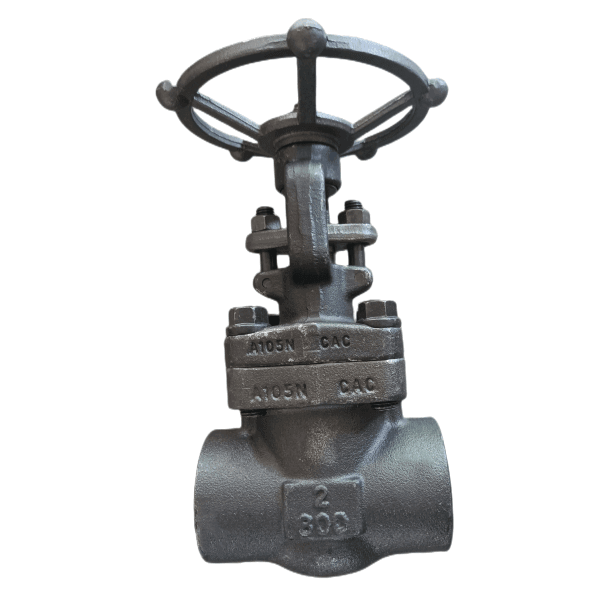 Forged Steel Gate Valves: API 602
