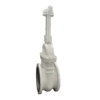 Cast Steel Cryogenic Gate Valves, CF8, DN250, PN50, Extended Bonnet