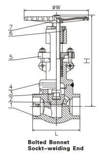 Drawing forged stee globe valves API 602 bolted bonnet