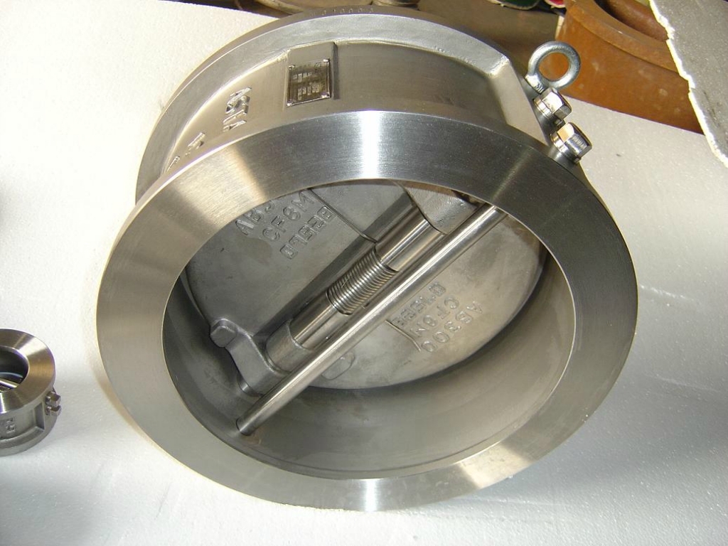 Check Valves Applied in Sewage Lifter