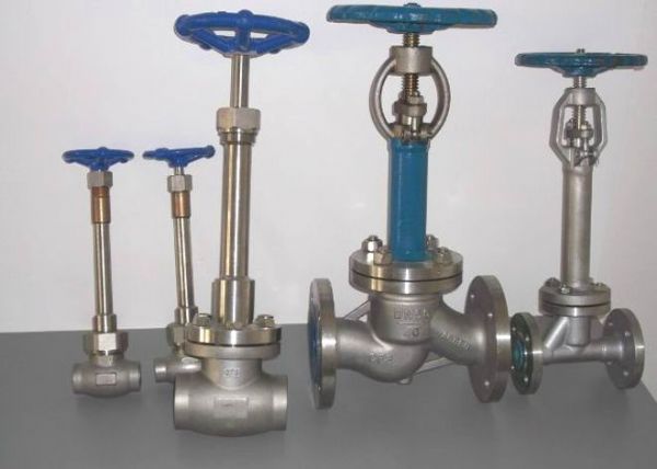 Design Requirements for Low Temperature Globe Valves